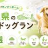 山口県の室内ドッグラン6選