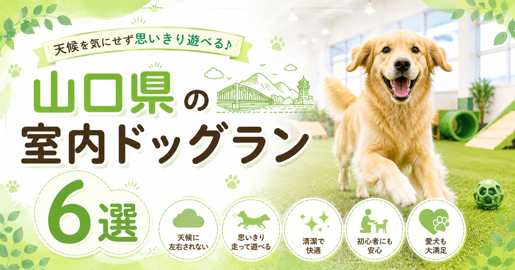 山口県の室内ドッグラン6選