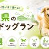 山口県の室内ドッグラン5選