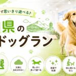 山口県の室内ドッグラン5選