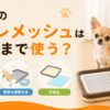 犬のトイレメッシュはいつまで使う？