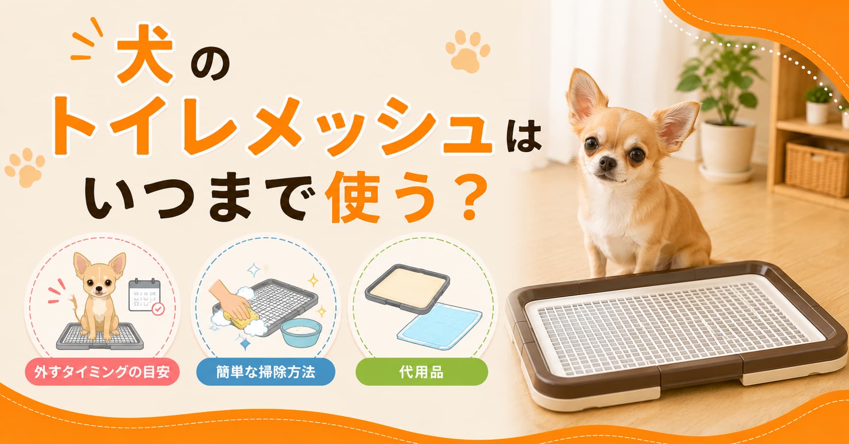 犬のトイレメッシュはいつまで使う？