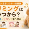 狂犬病・混合ワクチン接種後トリミングはいつから？