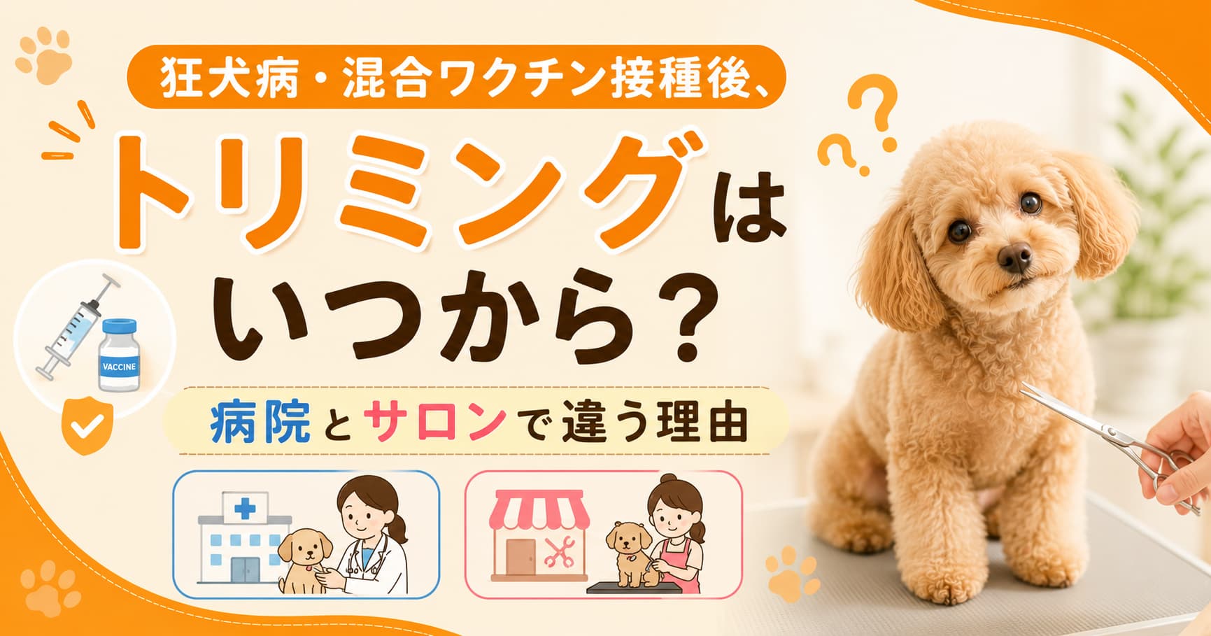 狂犬病・混合ワクチン接種後トリミングはいつから？
