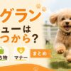 ドッグランデビューはいつから？