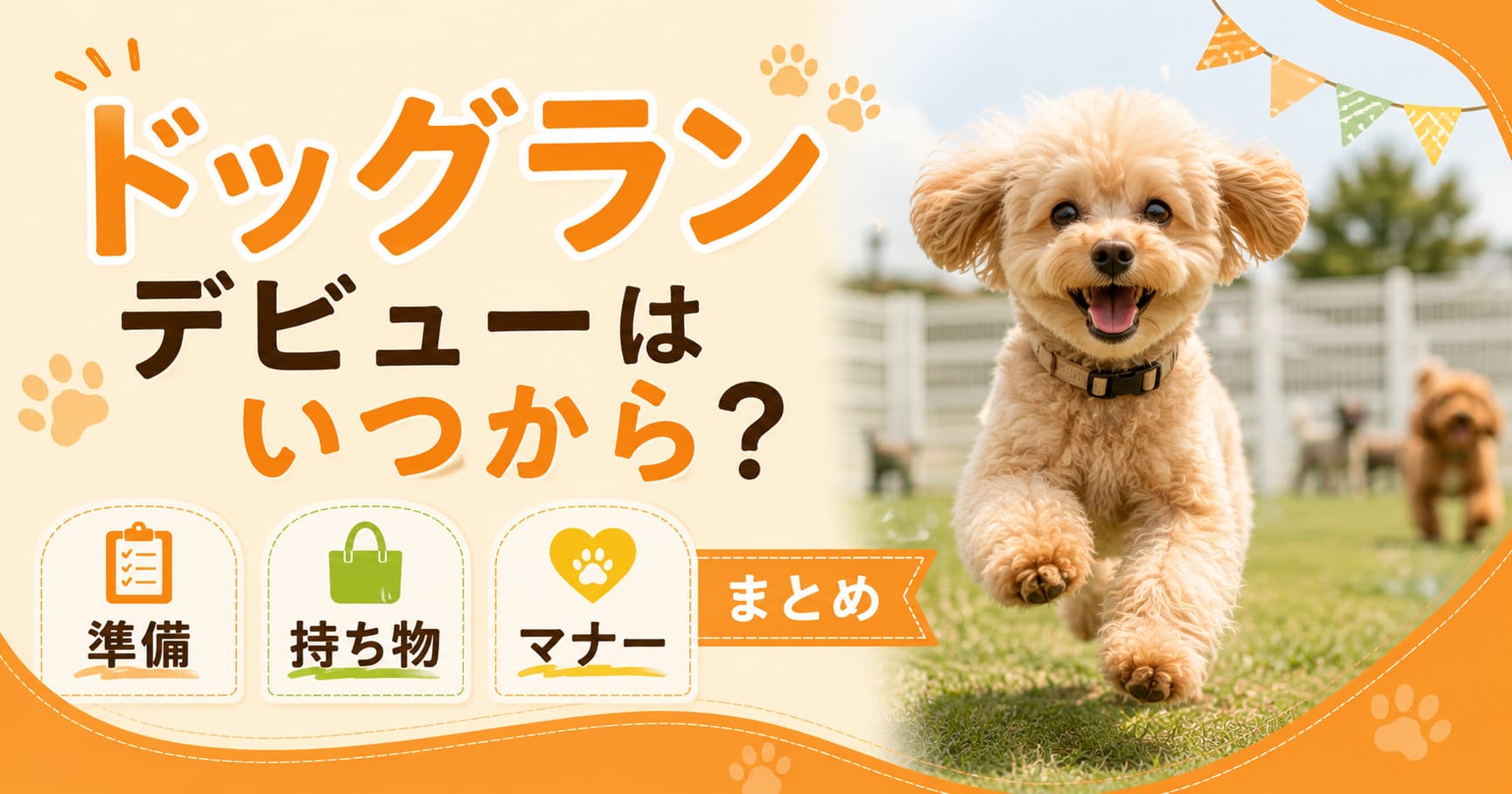 ドッグランデビューはいつから？