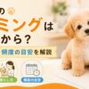 子犬のトリミングはいつから？