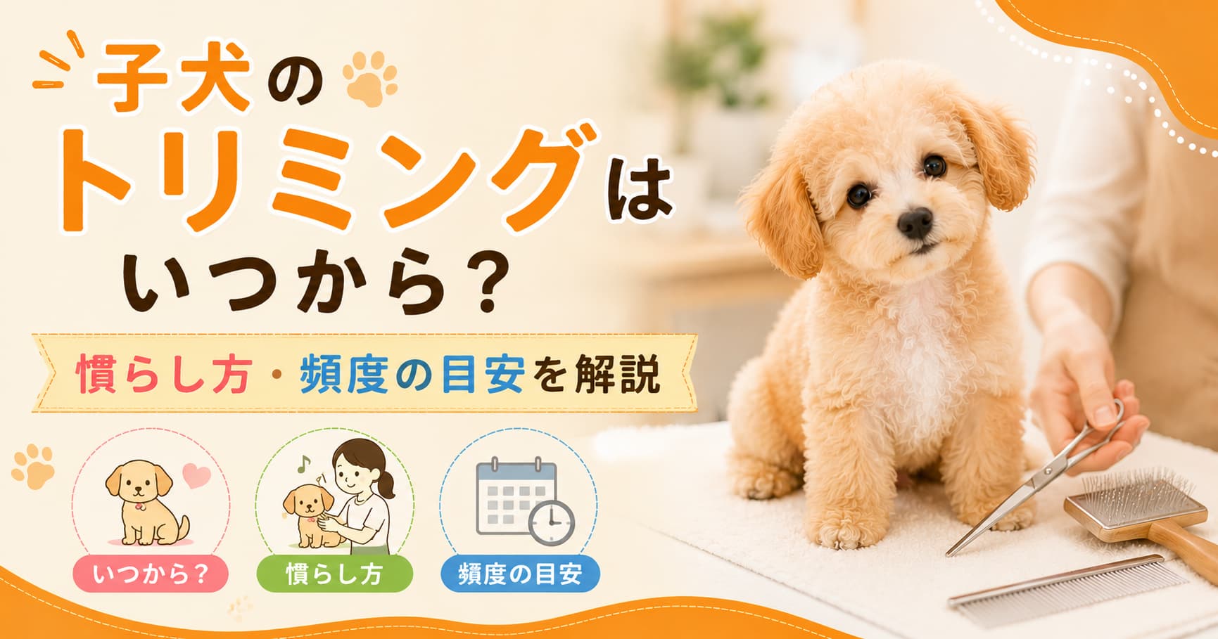 子犬のトリミングはいつから？