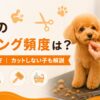 犬のトリミングの頻度は？犬種別目安