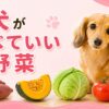 犬が食べていい野菜