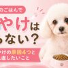 このこのごはんで涙やけは治らない？
