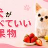 犬が食べていい果物