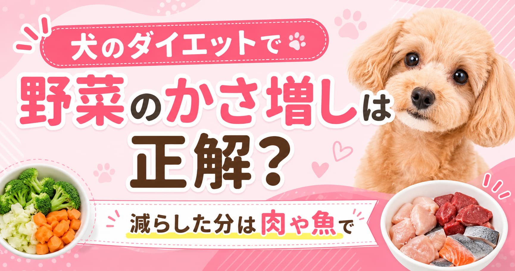 犬のダイエットで野菜のかさ増しは正解？減らした分は肉や魚で