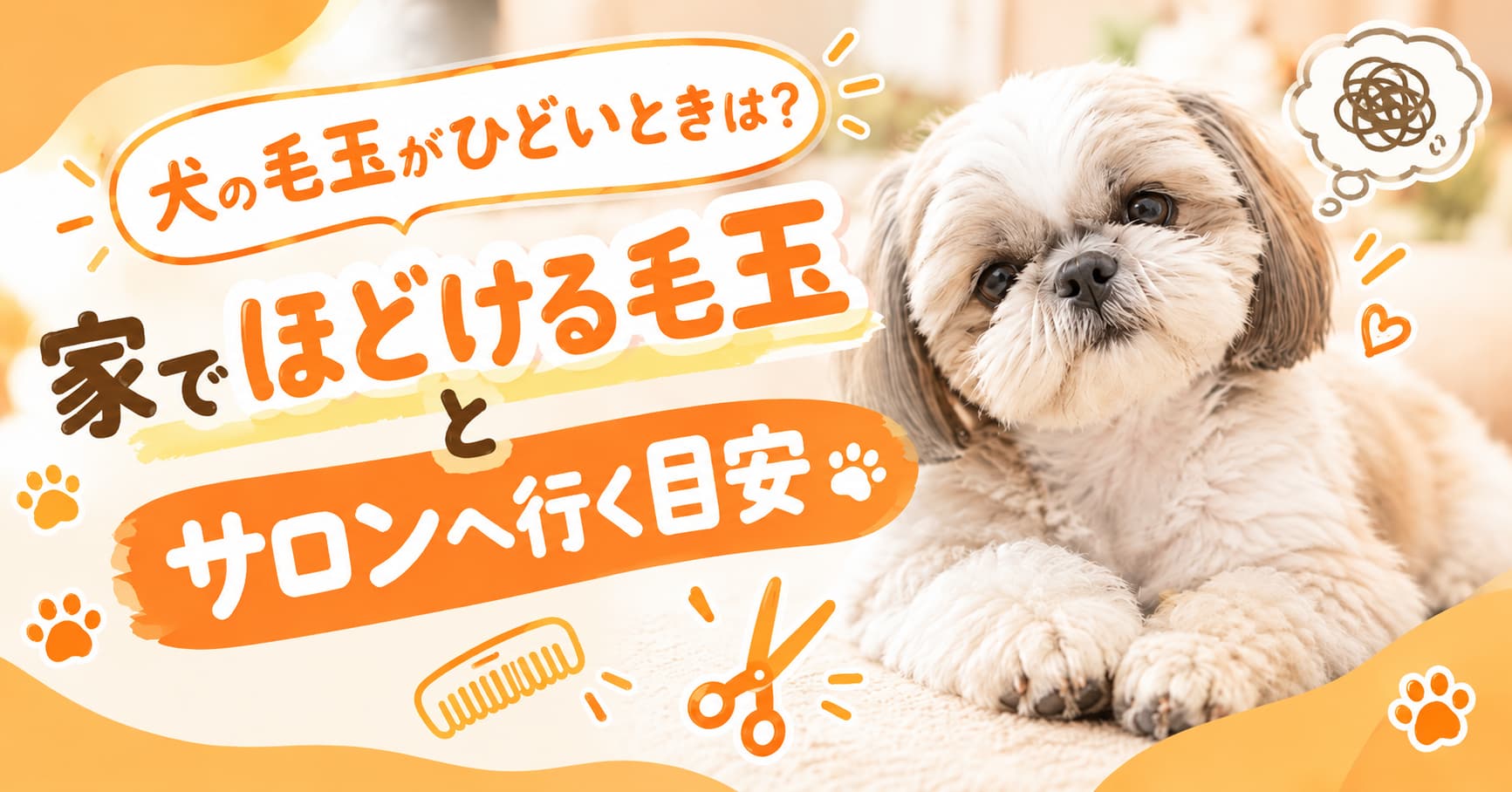 犬の毛玉がひどいときは？家でほどける毛玉とサロンへ行く目安